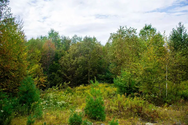 $300,000 | 264 Olds Road, Lempster, NH 03605