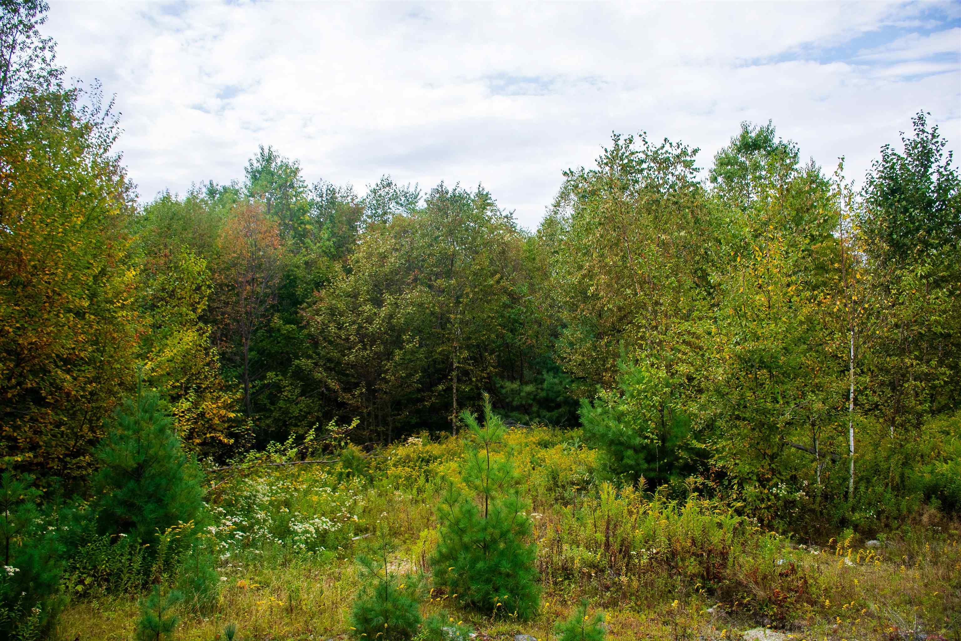 264 Olds Road Lempster, NH 03605 - Photo 10 of 15