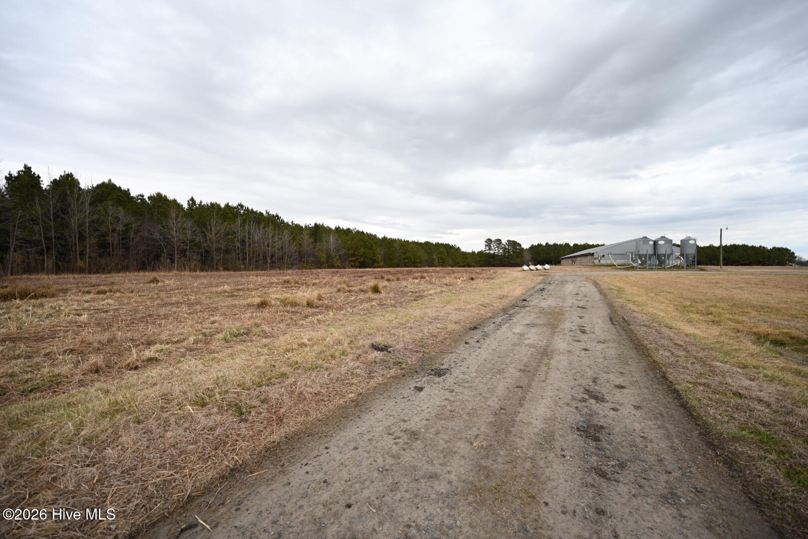 1535 Maul Swamp Road Vanceboro, NC 28586 - Photo 12 of 45 DSC_1448