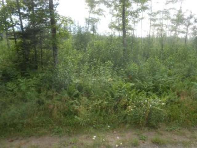 On Dynamite Road Fifield, WI 54524 - Photo 5 of 8 Gallery Image 5