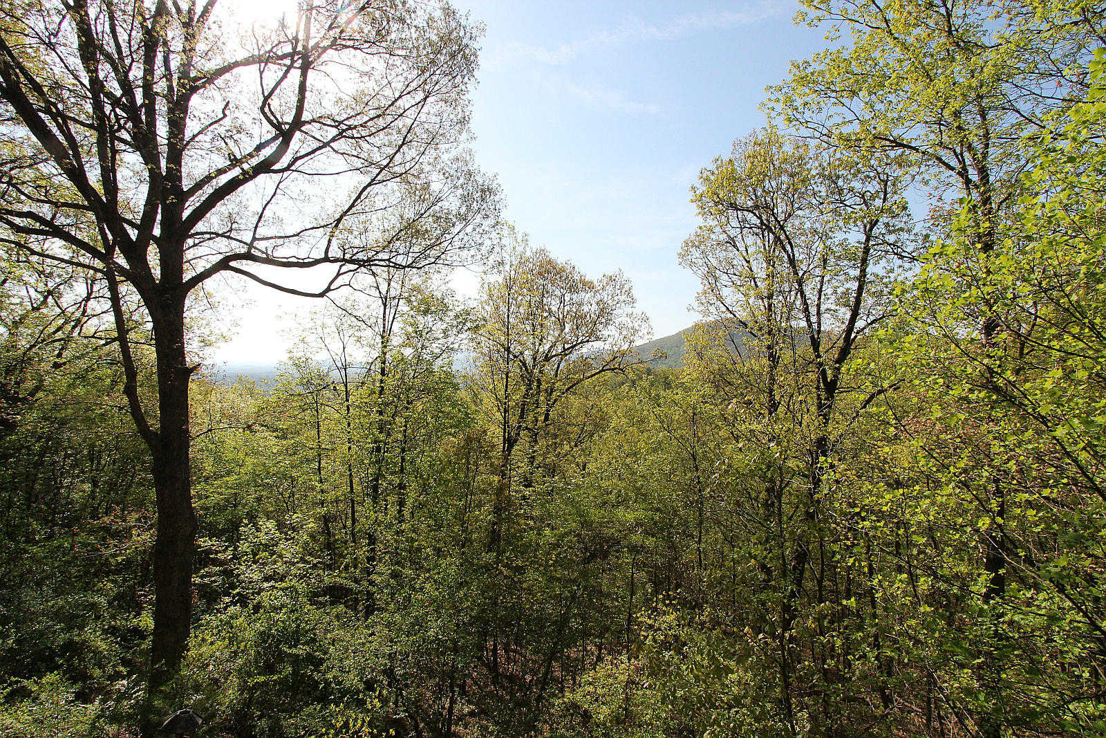 3232 Fordham Road Southwest Roanoke, VA 24014 - Photo 35 of 36