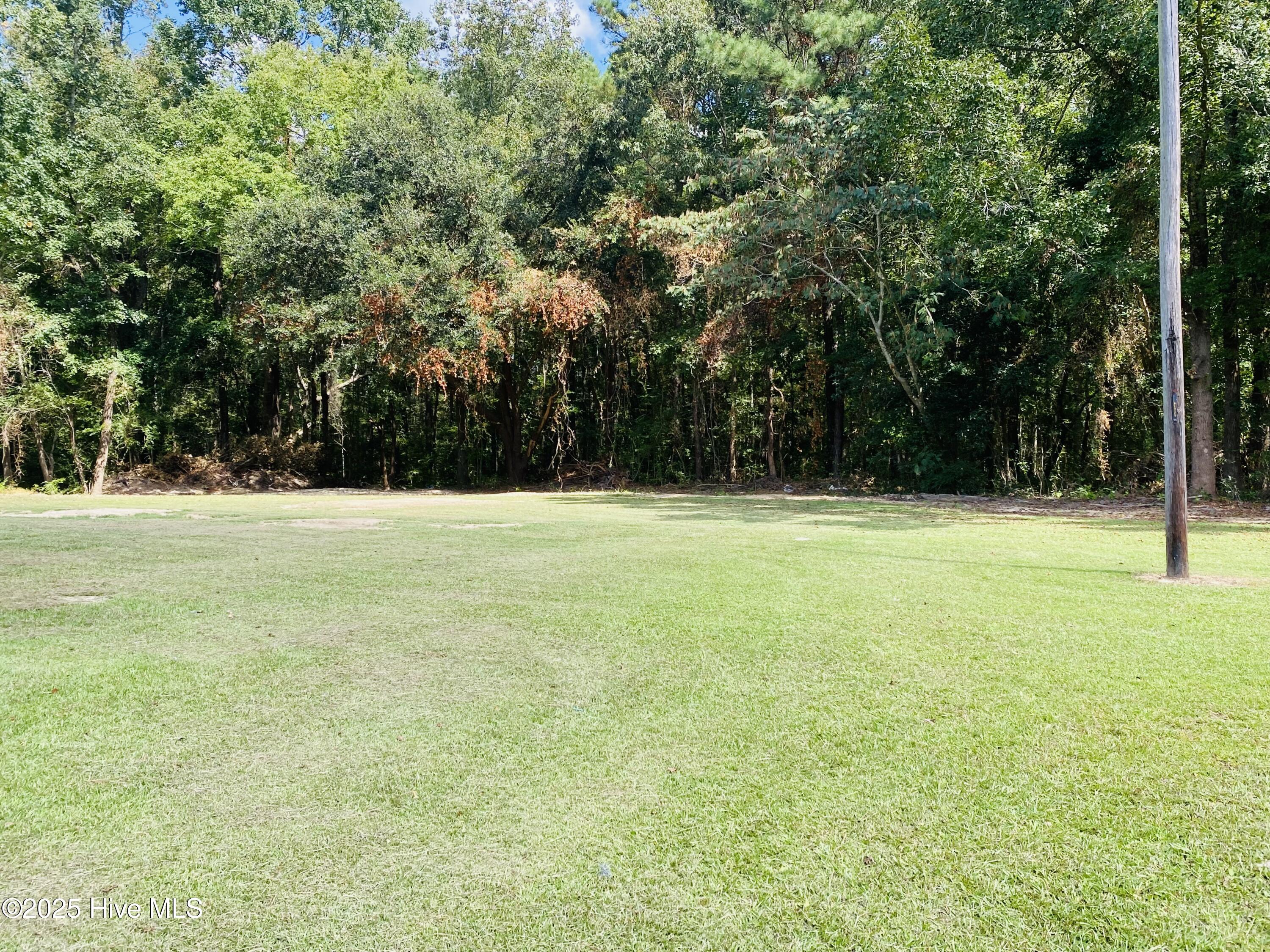 1924 Mille Christine Road Whiteville, NC 28472 - Photo 14 of 31 IMG_9514