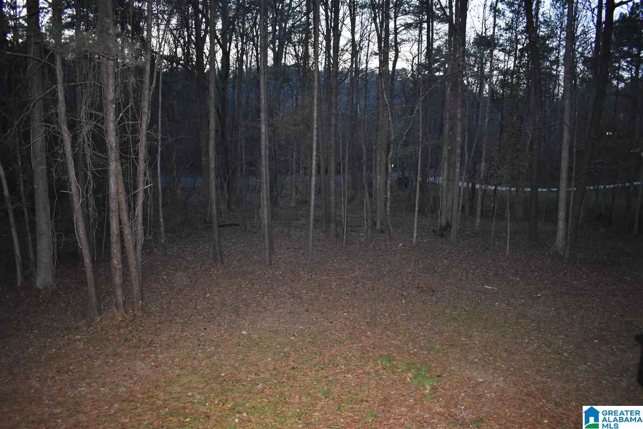 1667 Rex Lake Road Leeds, AL 35094 - Photo 35 of 41