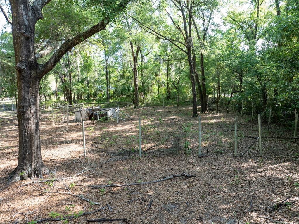 249 Keuka Road Interlachen, FL 32148 - Photo 37 of 49 Gallery Image 37