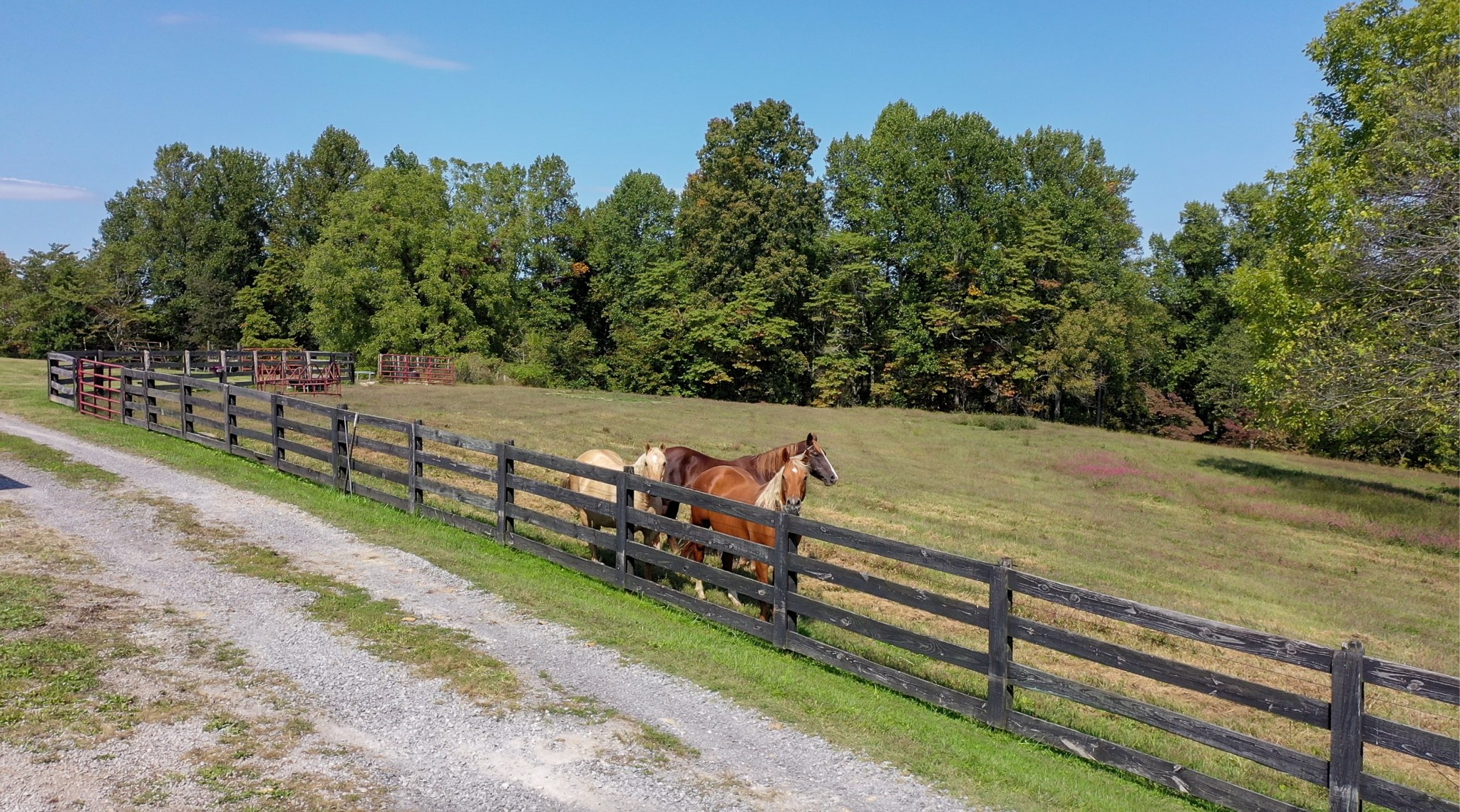 4741 Cathey Ridge Road Manchester, TN 37355 - Photo 14 of 50 a view of a yard with wooden fence