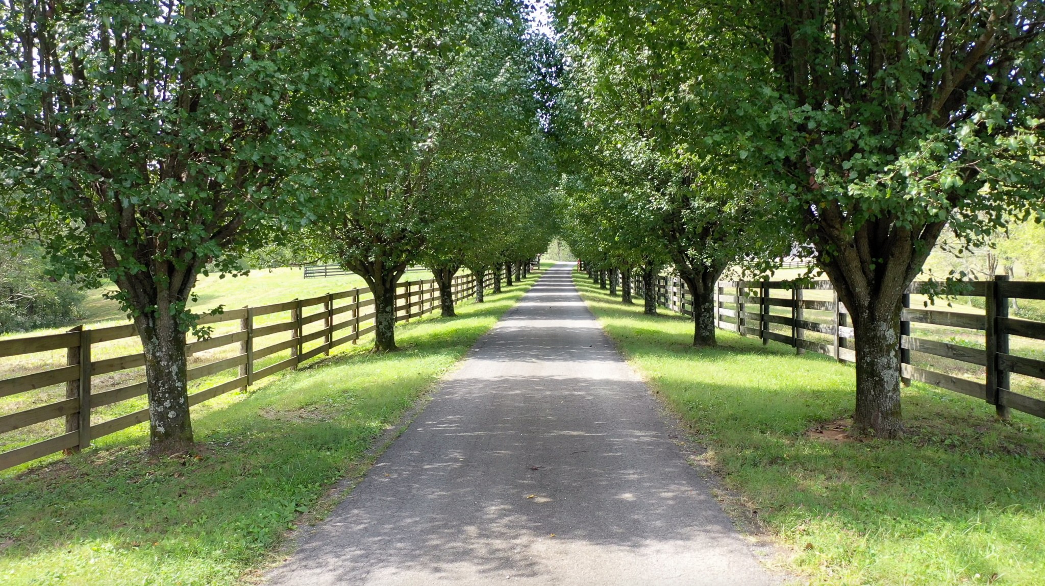 4741 Cathey Ridge Road Manchester, TN 37355 - Photo 3 of 50 a view of park with trees