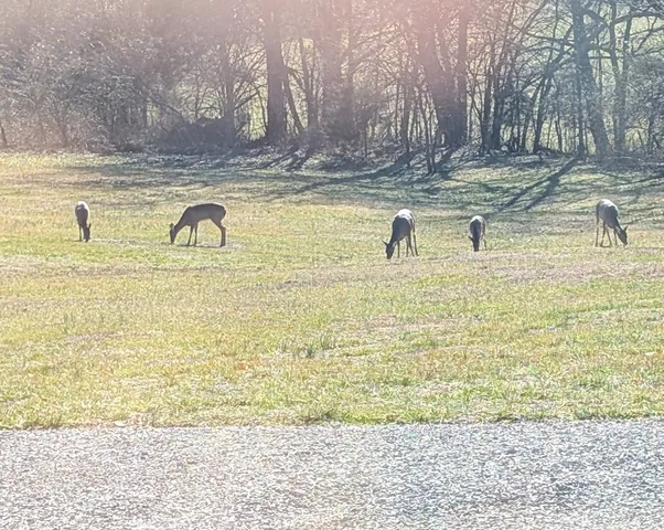 $499,900 | 2695 Leslie Road, Burkesville, KY 42717