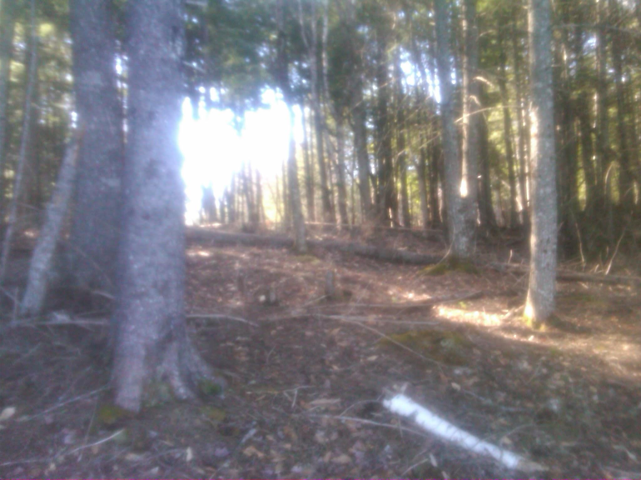 3 Heath Road Mariaville, ME 04605 - Photo 4 of 12 IMG-20120406-00527