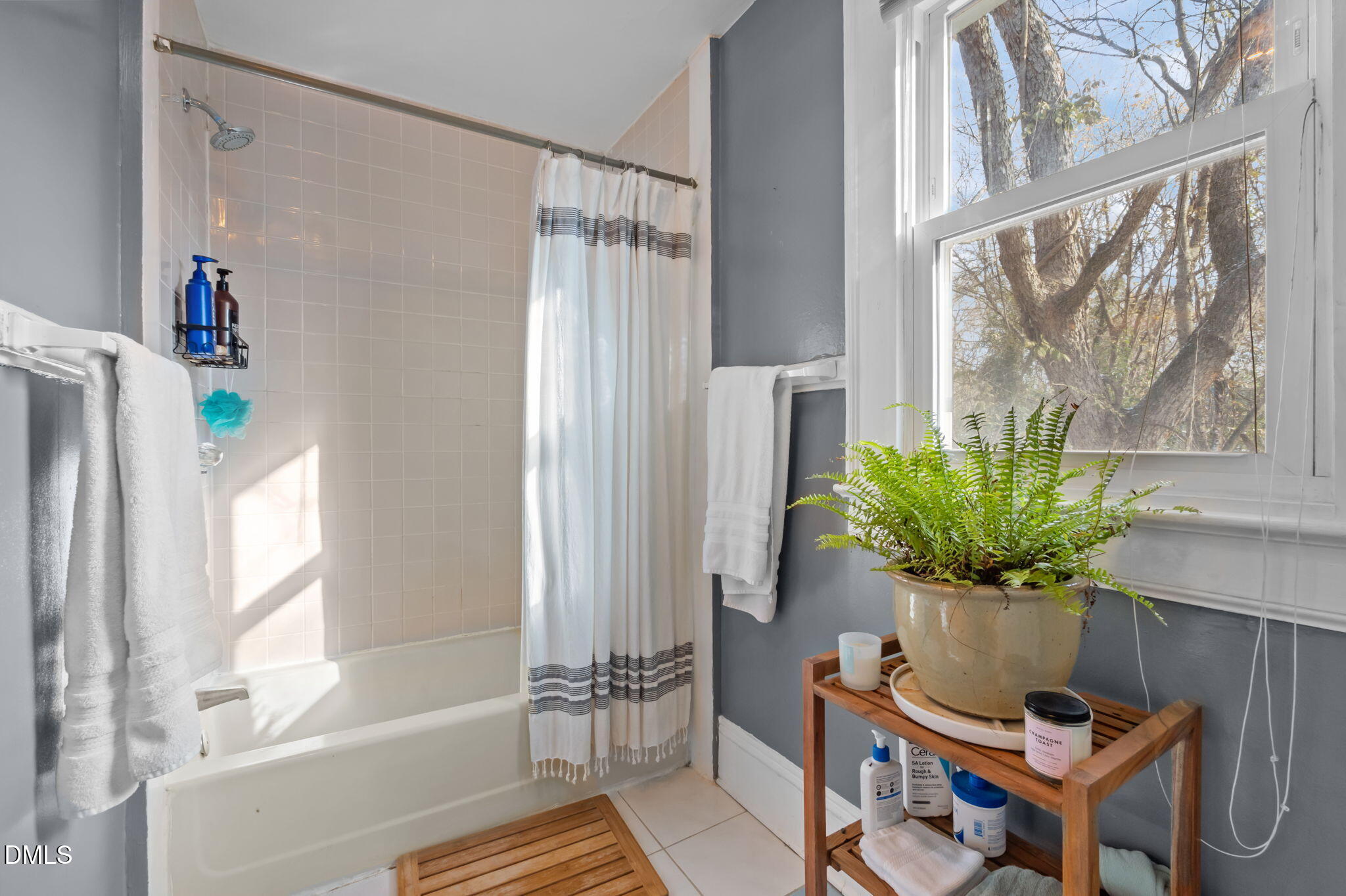 813 Arnette Avenue Durham, NC 27701 - Photo 25 of 31 a living room with furniture and a potted plant