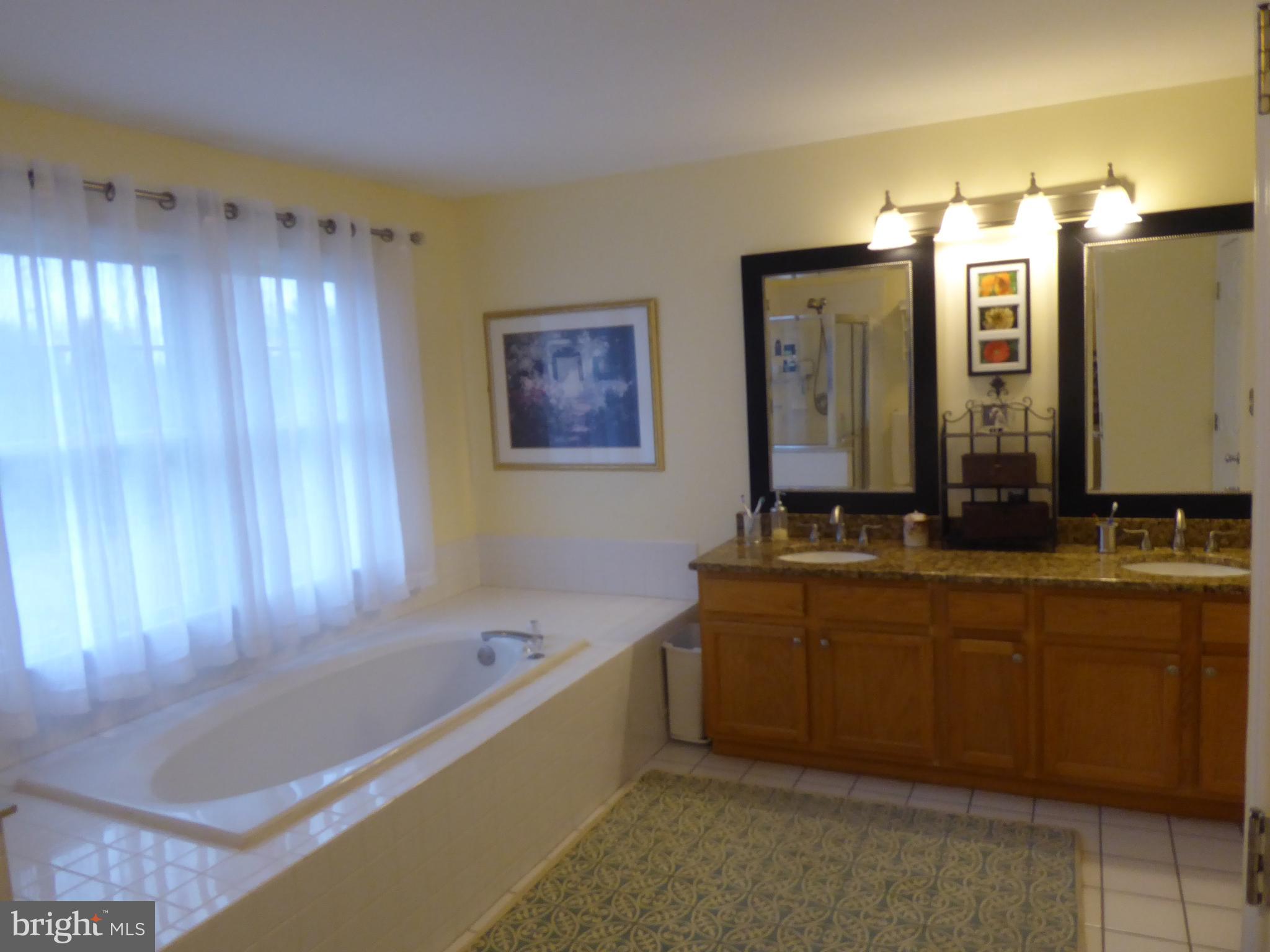 41 Whitcomb Road East Windsor, NJ 08520 - Photo 30 of 49 Master Bath