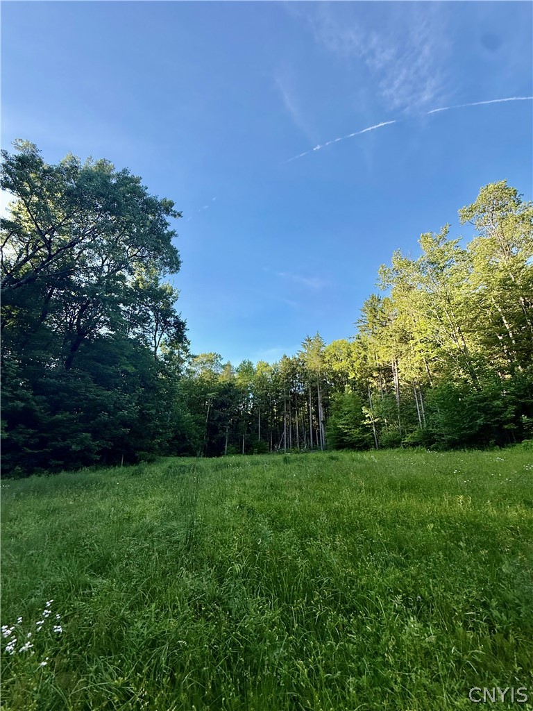 9191 Furman Mills Road Brookfield, NY 13460 - Photo 14 of 30