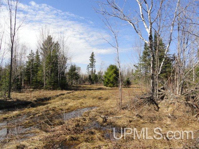 12886 Old 41 Road Baraga, MI 49908 - Photo 18 of 18 Gallery Image 18