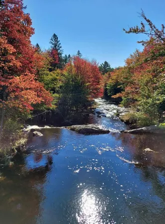 $330,000 | 425 Saco Road, Columbia, ME 04623