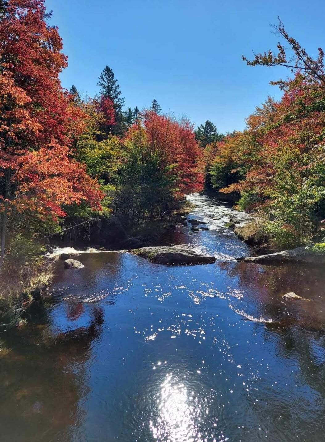 425 Saco Road Columbia, ME 04623 - Photo 2 of 69 6