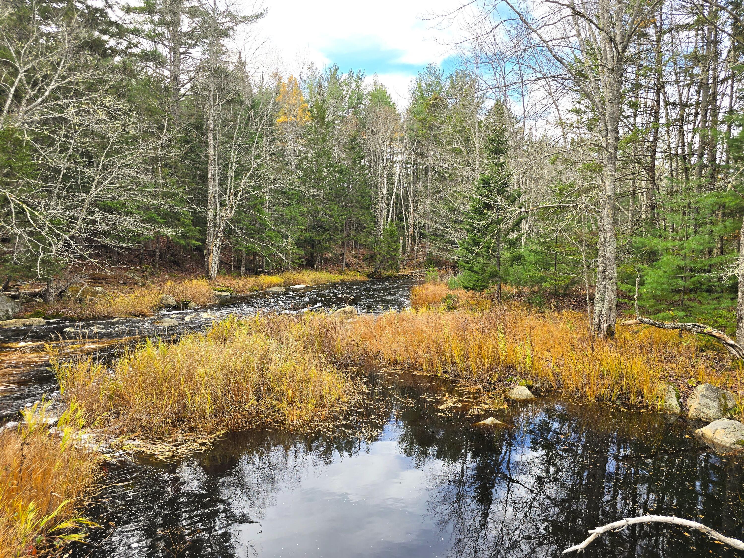 425 Saco Road Columbia, ME 04623 - Photo 61 of 69 3