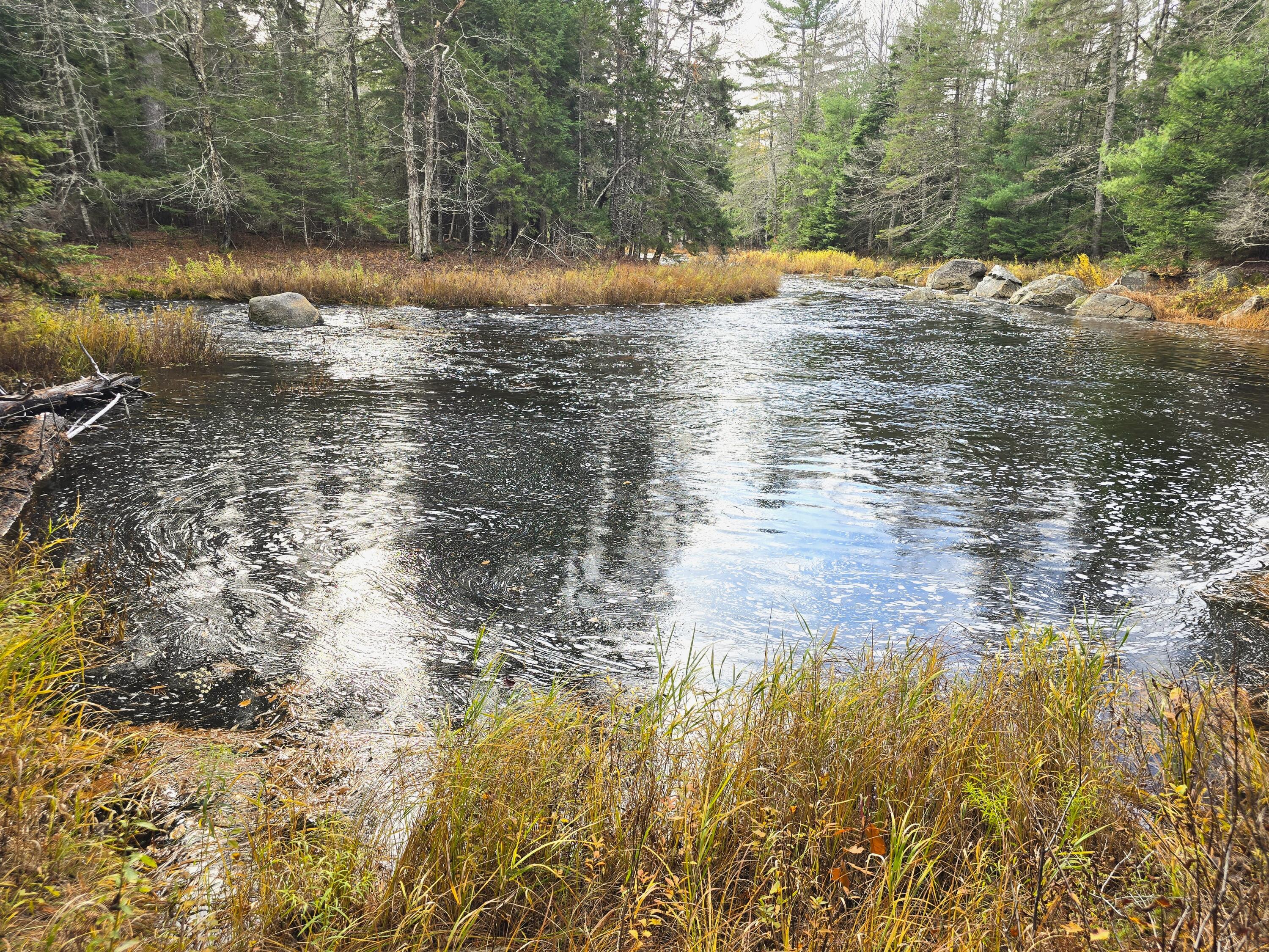 425 Saco Road Columbia, ME 04623 - Photo 63 of 69 5