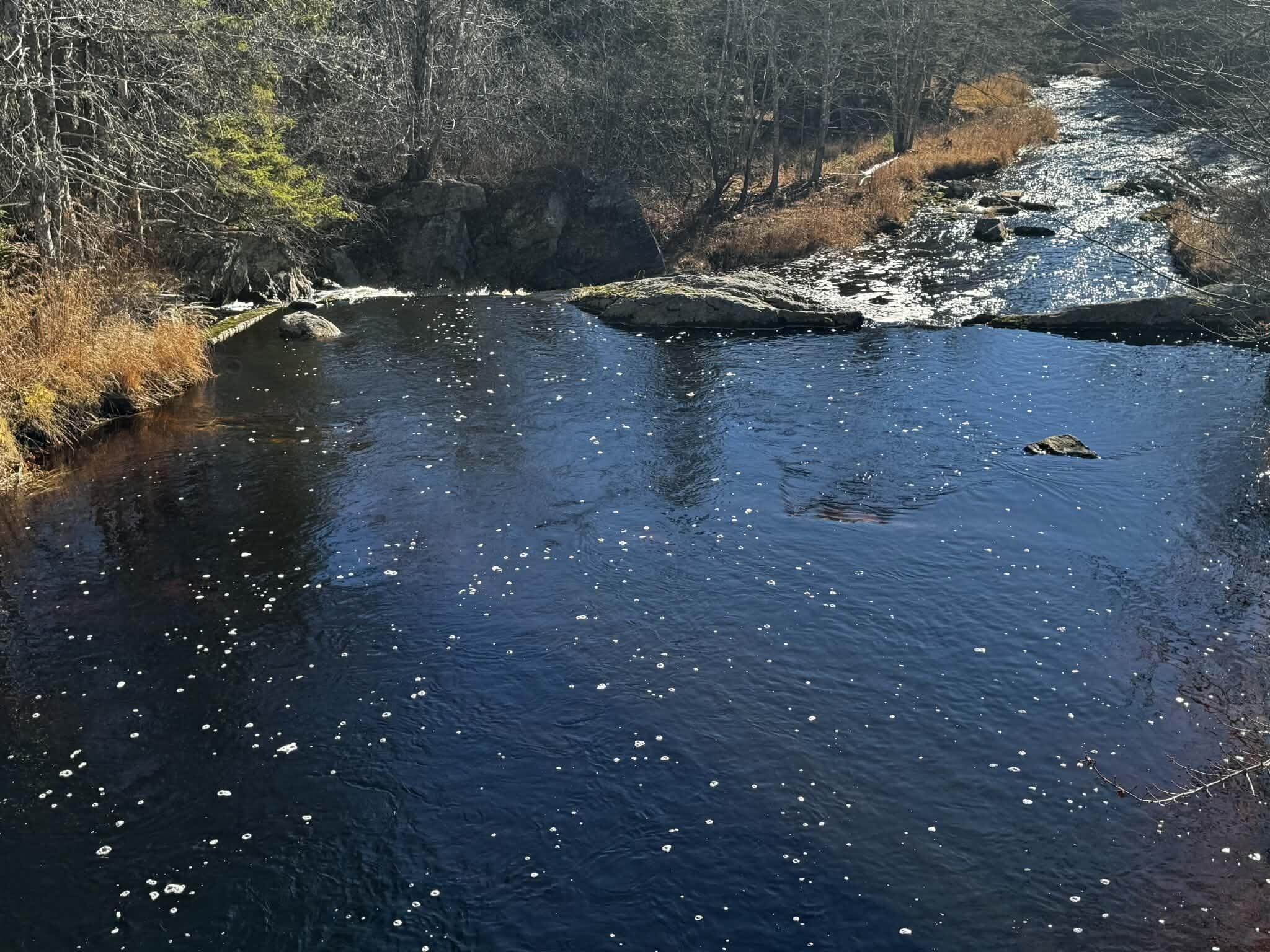 425 Saco Road Columbia, ME 04623 - Photo 68 of 69 99
