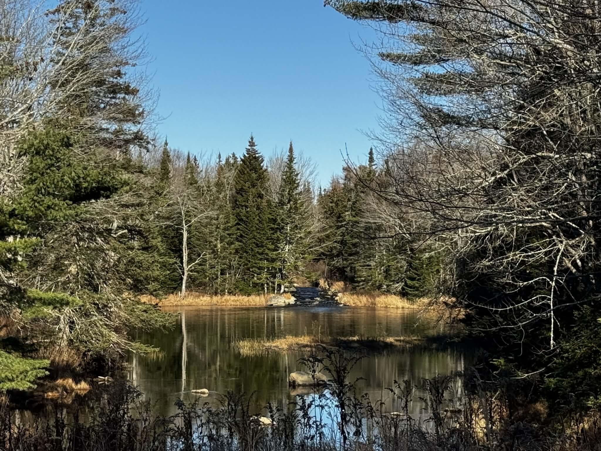 425 Saco Road Columbia, ME 04623 - Photo 69 of 69 102