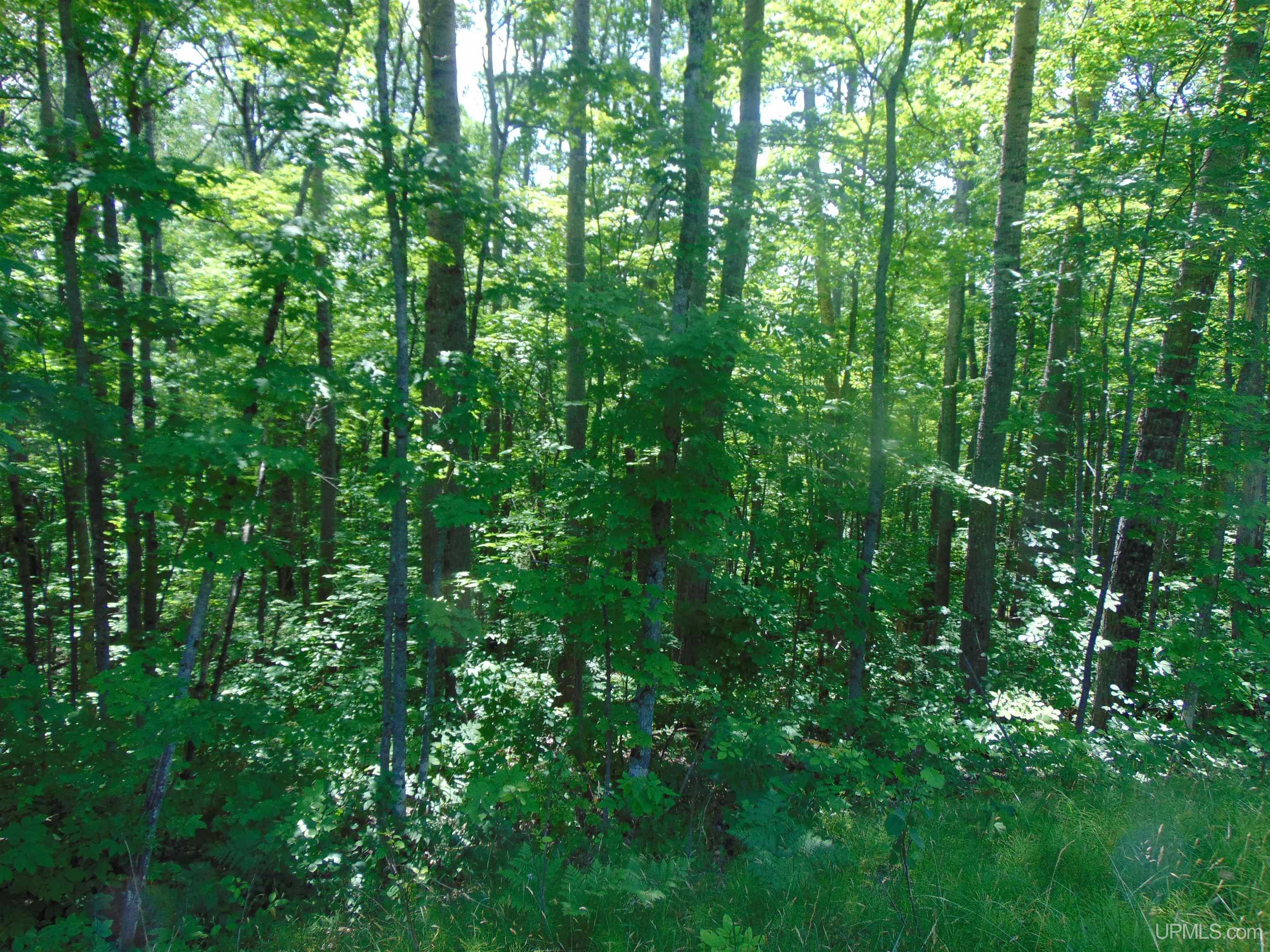 24954 Victoria Dam Road Rockland, MI 49960 - Photo 66 of 78
