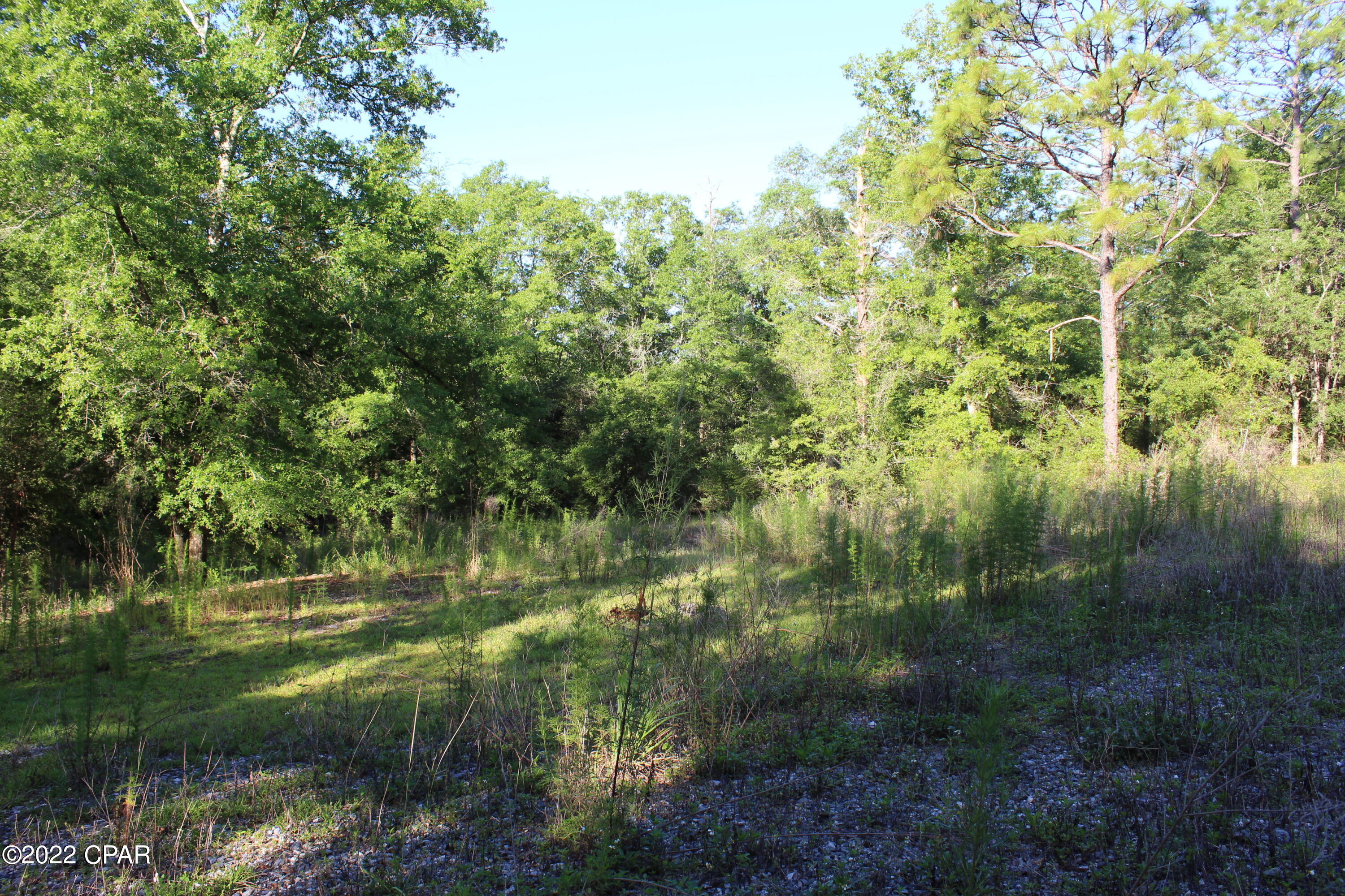 Lot 33 Territory Road Chipley, FL 32428 - Photo 8 of 16 Gallery Image 8