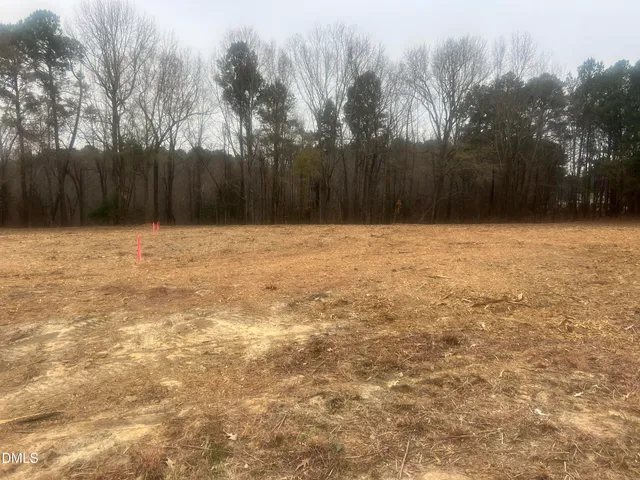 a view of pool and tall trees