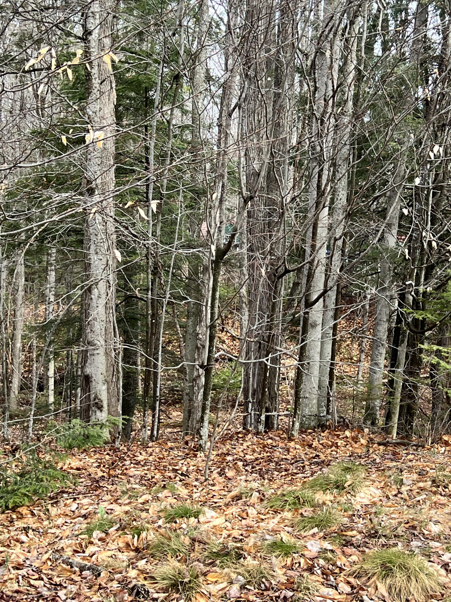 R12-042 Industry Road Farmington, ME 04938 - Photo 2 of 10 IMG_3291