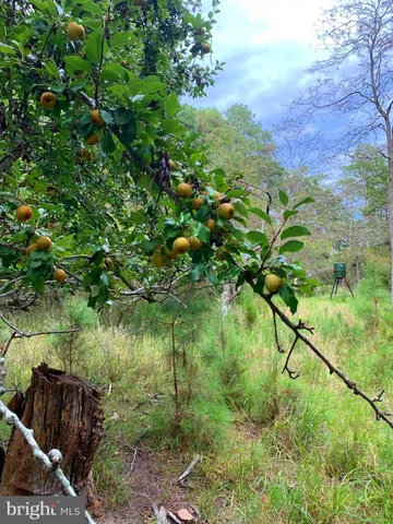 $268,000 | 1907 Bishops Head Road, Toddville, MD 21672