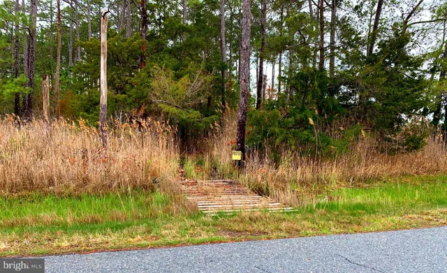 $268,000 | 1907 Bishops Head Road, Toddville, MD 21672