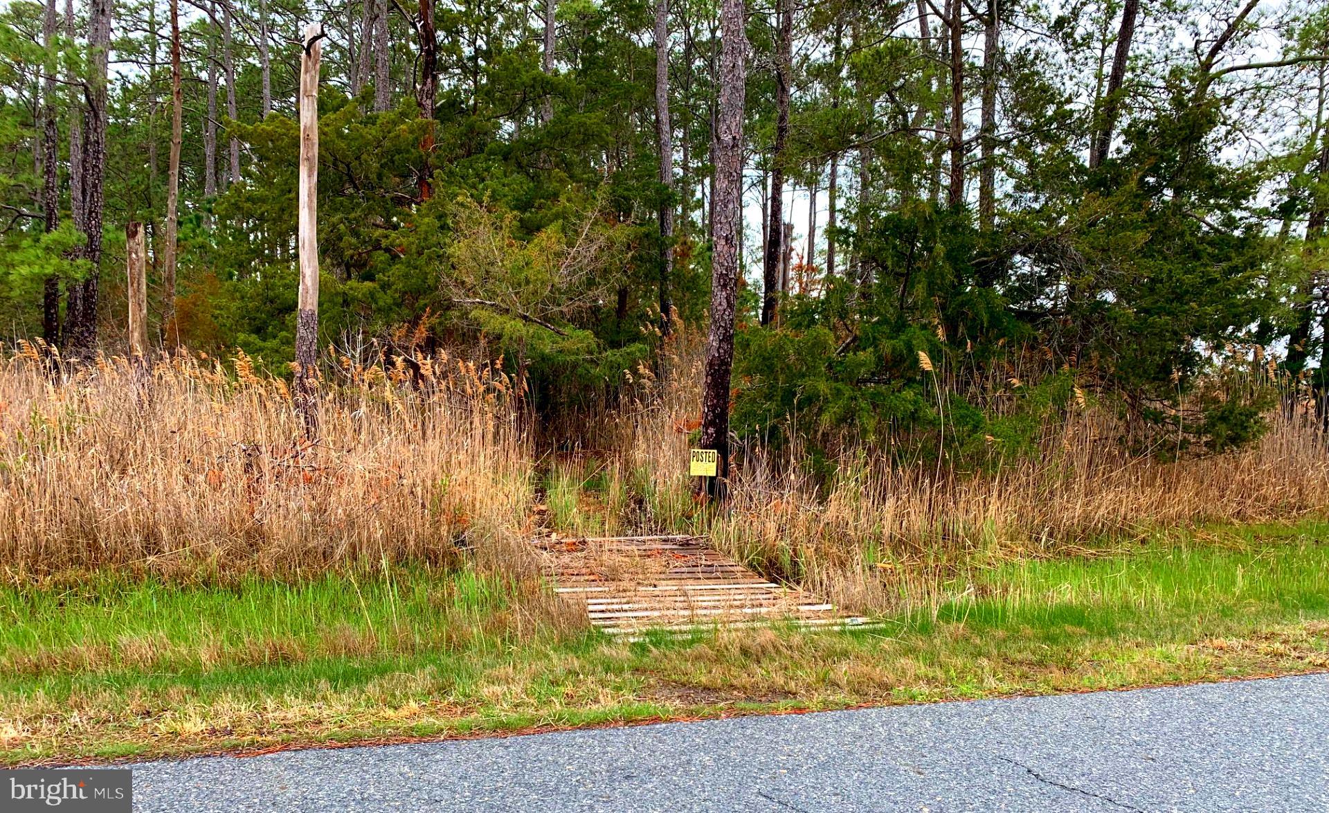 1907 Bishops Head Road Toddville, MD 21672 - Photo 21 of 55