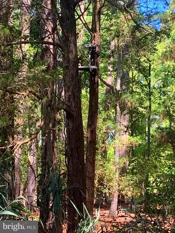 $268,000 | 1907 Bishops Head Road, Toddville, MD 21672