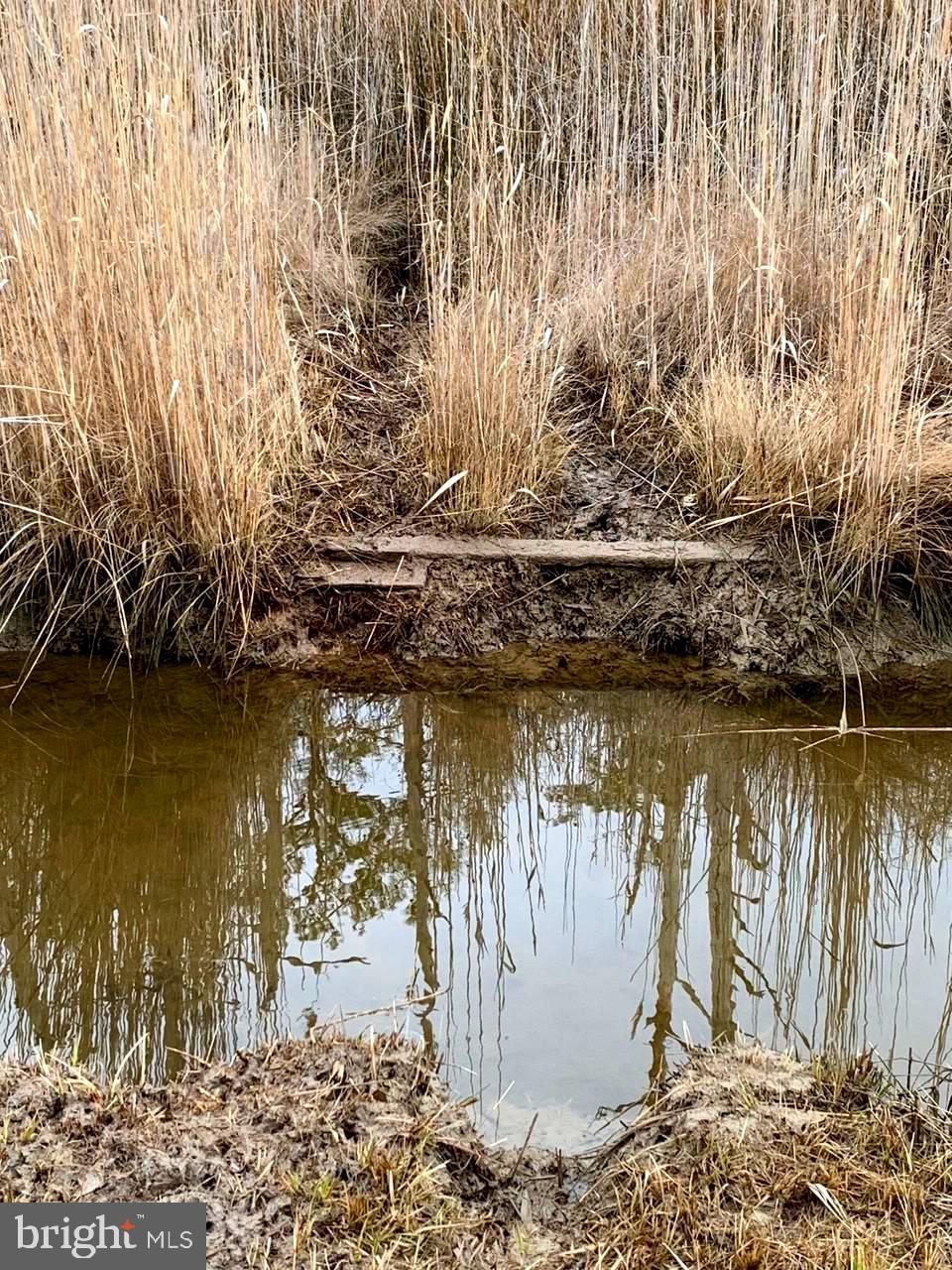 1907 Bishops Head Road Toddville, MD 21672 - Photo 23 of 55