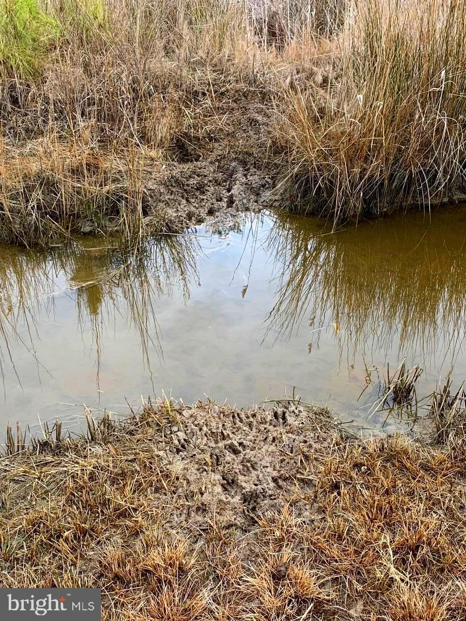 1907 Bishops Head Road Toddville, MD 21672 - Photo 24 of 55