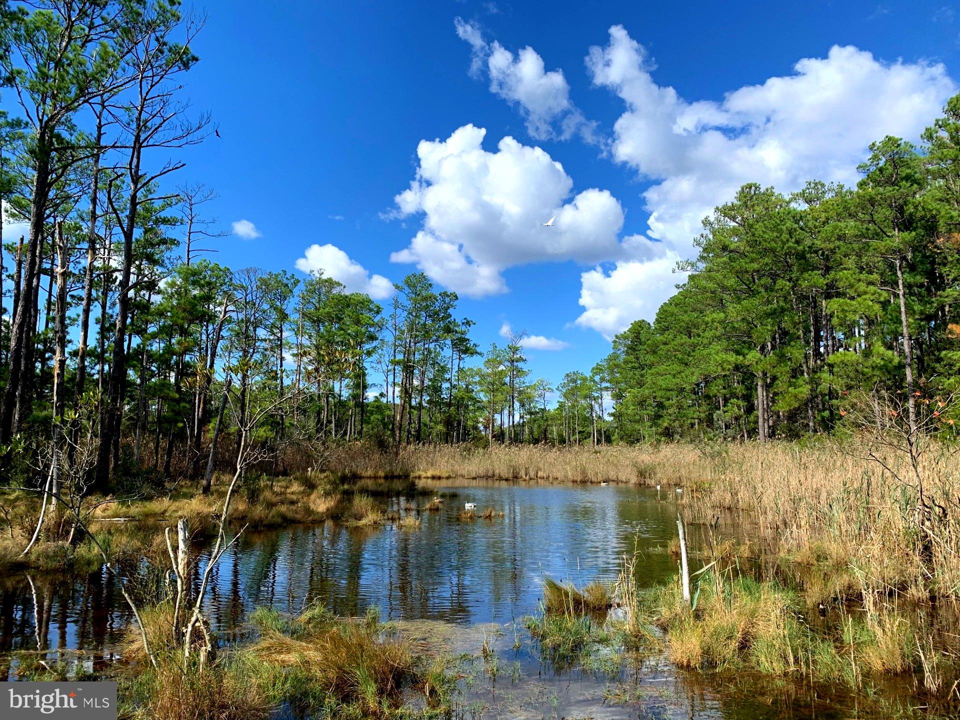 1907 Bishops Head Road Toddville, MD 21672 - Photo 26 of 55