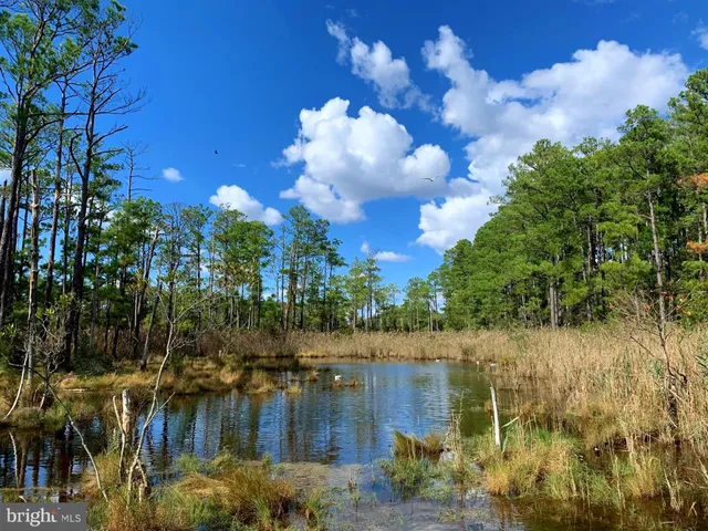 $268,000 | 1907 Bishops Head Road, Toddville, MD 21672