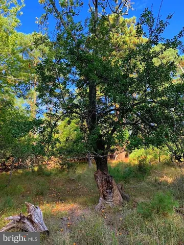 $268,000 | 1907 Bishops Head Road, Toddville, MD 21672