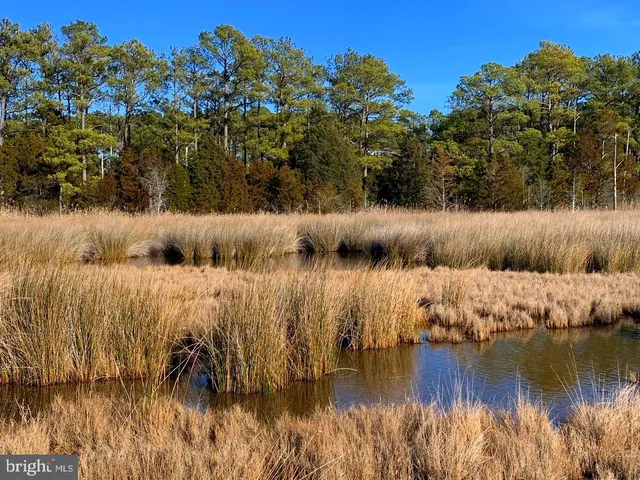 $268,000 | 1907 Bishops Head Road, Toddville, MD 21672