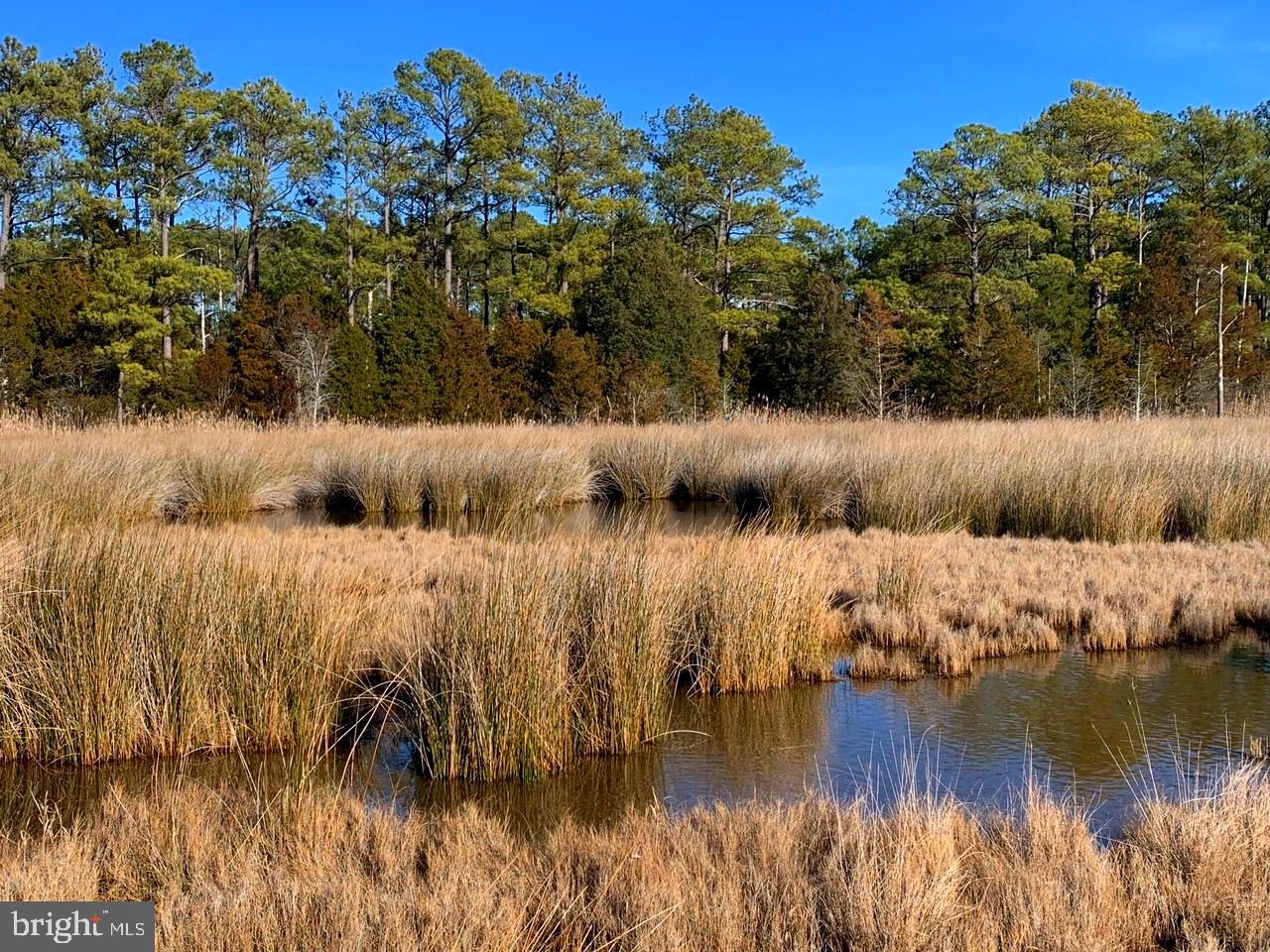 1907 Bishops Head Road Toddville, MD 21672 - Photo 30 of 55