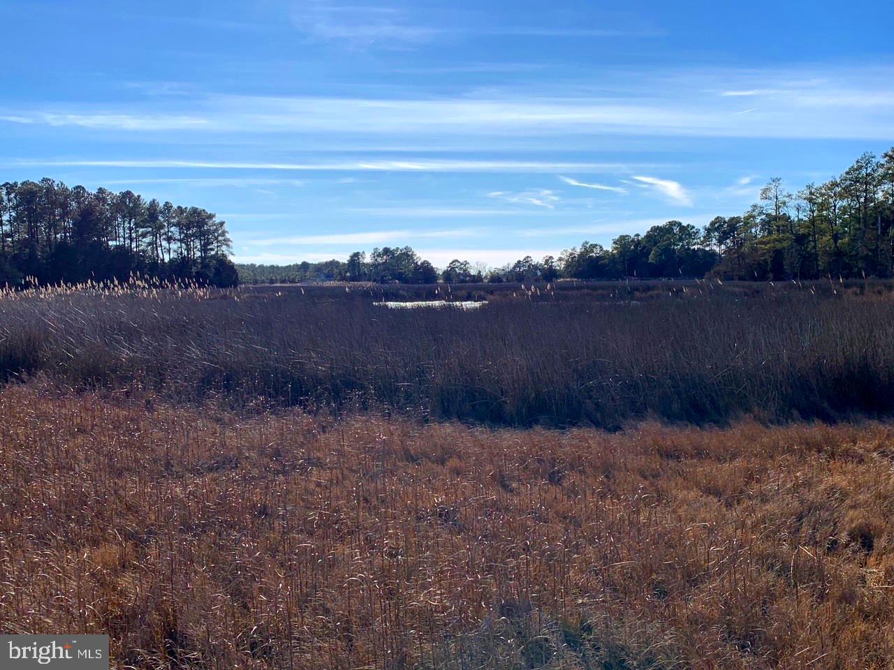 1907 Bishops Head Road Toddville, MD 21672 - Photo 31 of 55