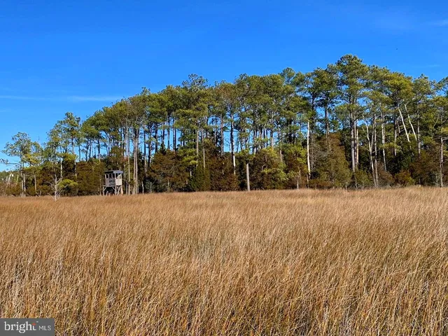 $268,000 | 1907 Bishops Head Road, Toddville, MD 21672