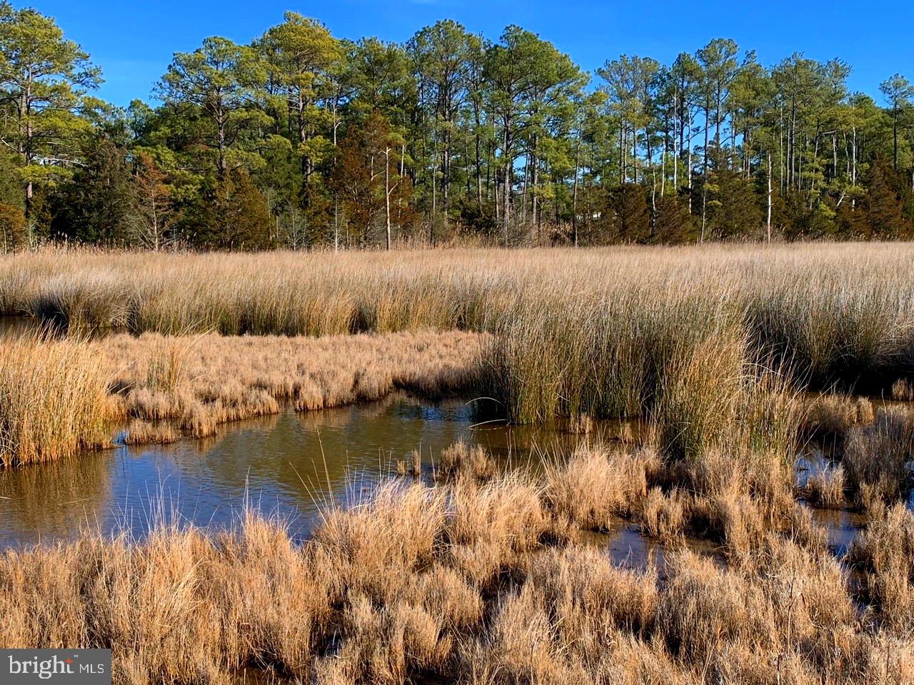 1907 Bishops Head Road Toddville, MD 21672 - Photo 33 of 55