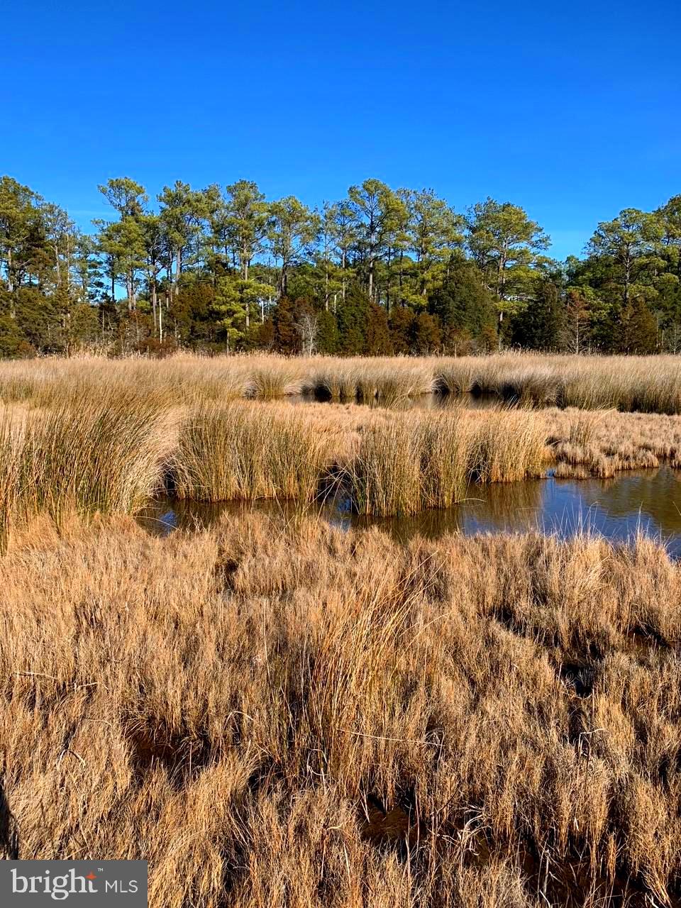 1907 Bishops Head Road Toddville, MD 21672 - Photo 34 of 55