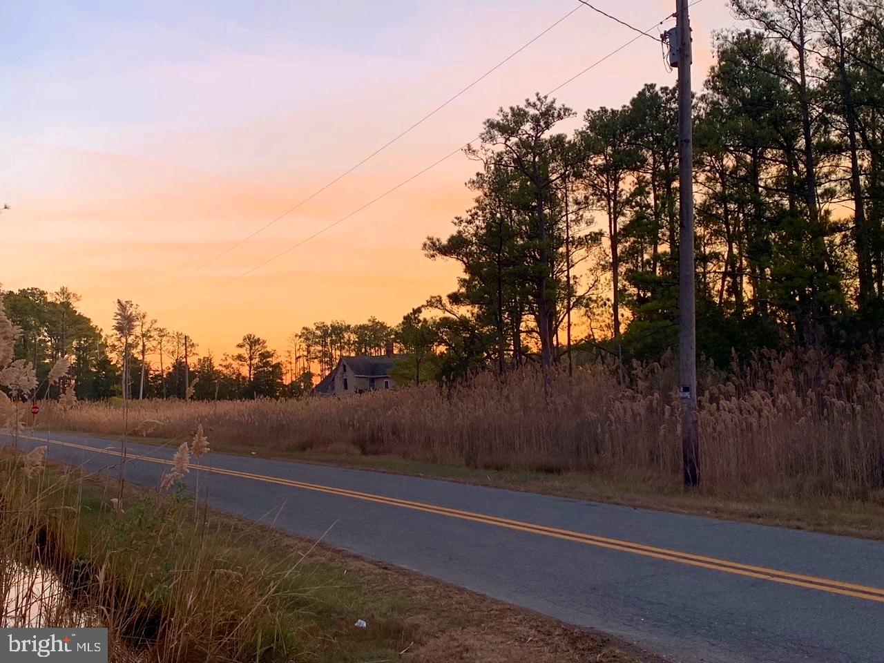 1907 Bishops Head Road Toddville, MD 21672 - Photo 37 of 55