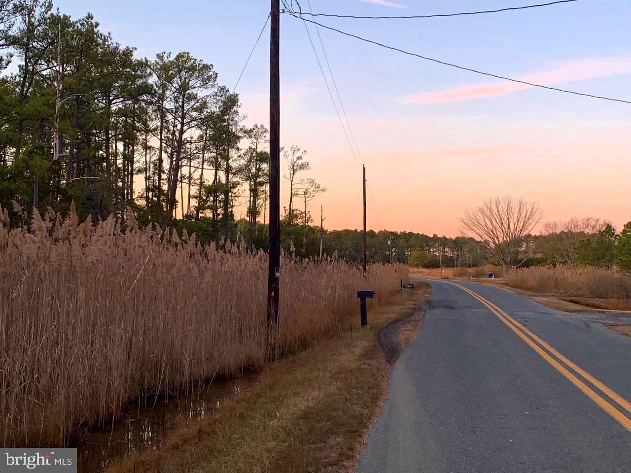 1907 Bishops Head Road Toddville, MD 21672 - Photo 38 of 55