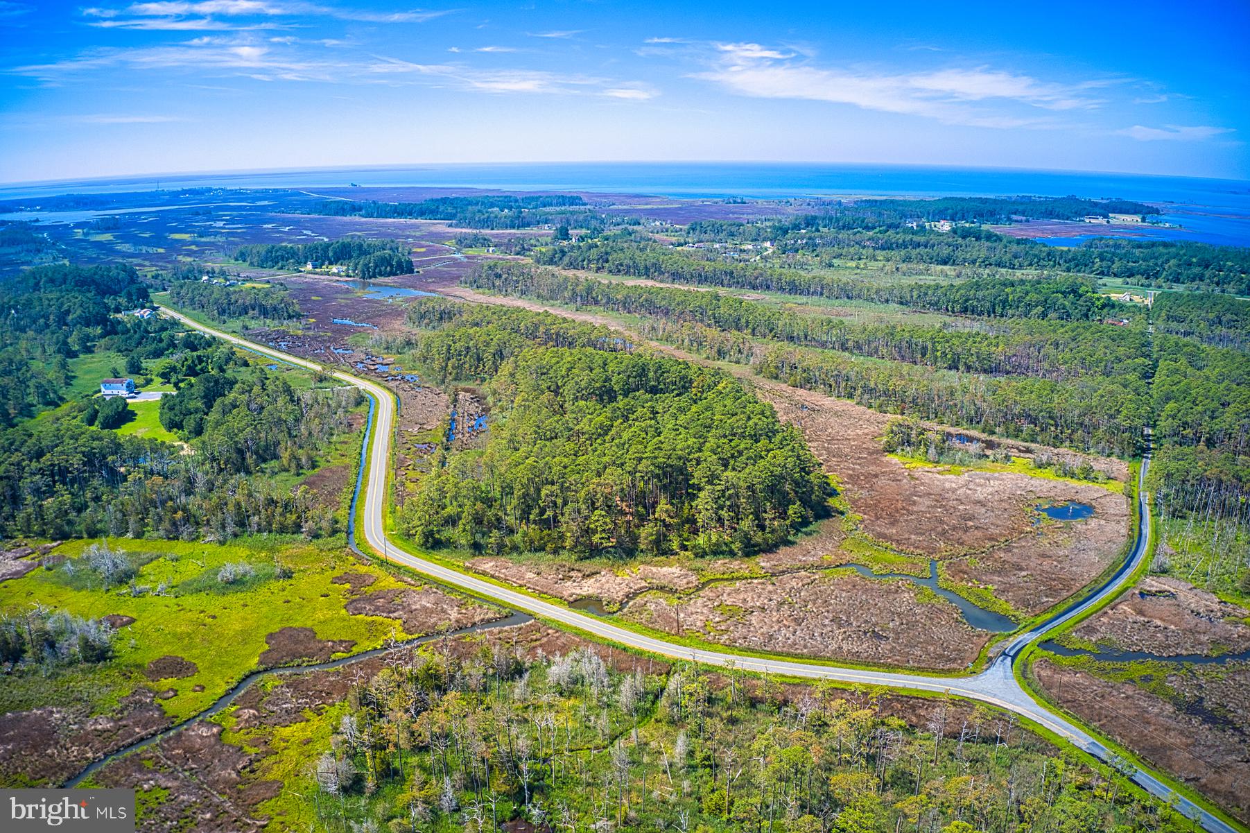 1907 Bishops Head Road Toddville, MD 21672 - Photo 51 of 55
