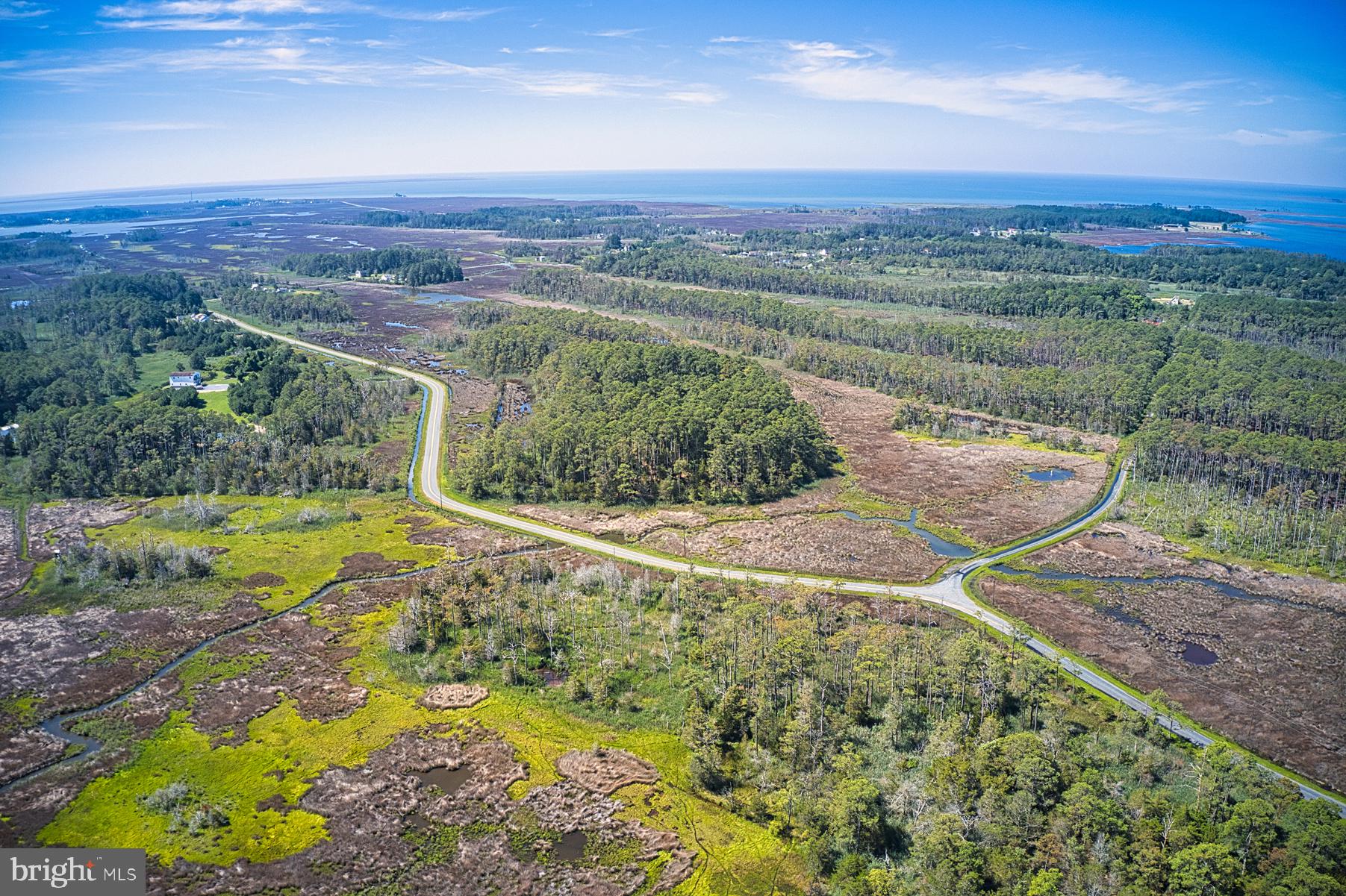 1907 Bishops Head Road Toddville, MD 21672 - Photo 52 of 55