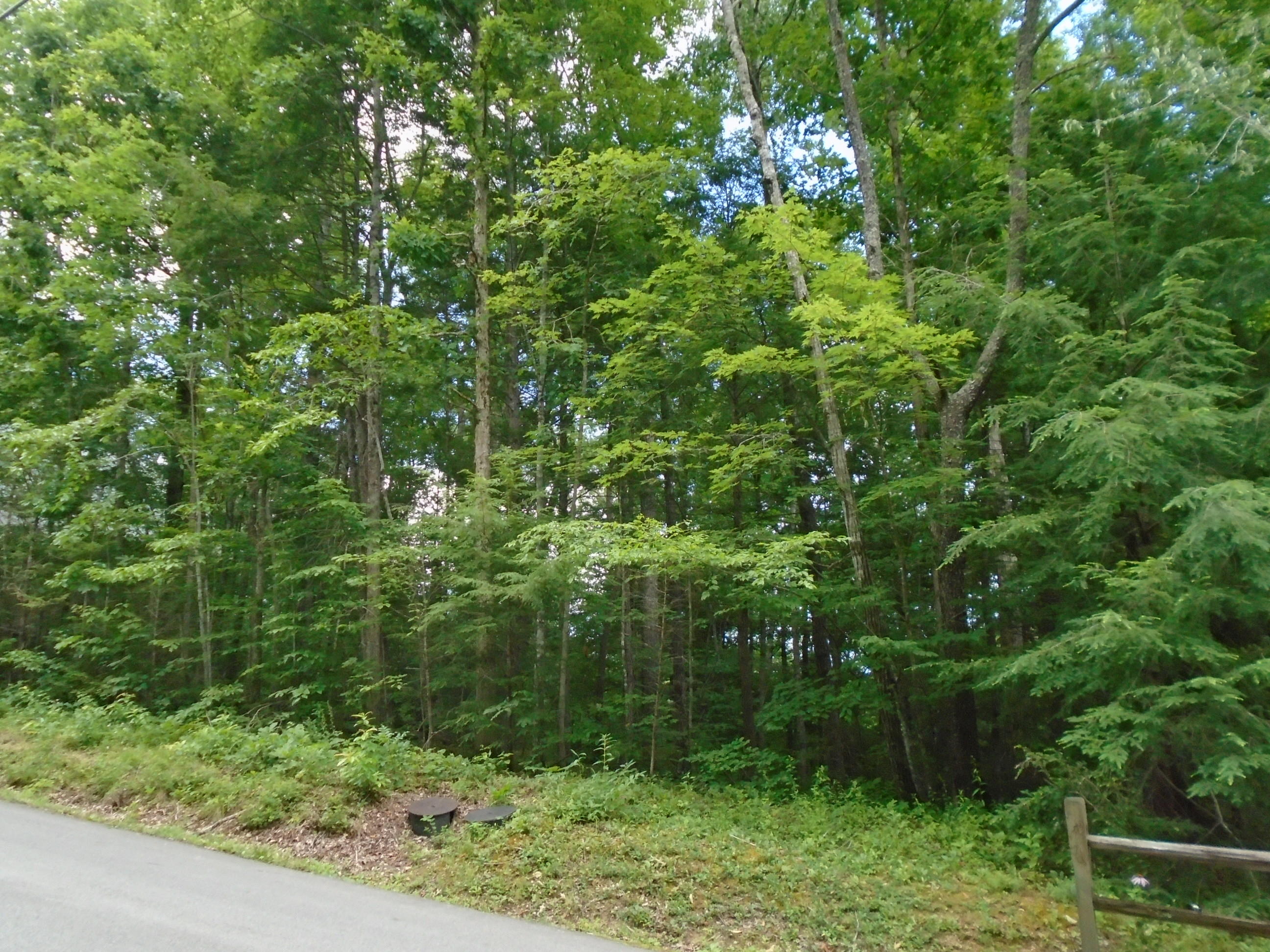 370 Laurel Road Townsend, TN 37882 - Photo 1 of 4 DSC02157