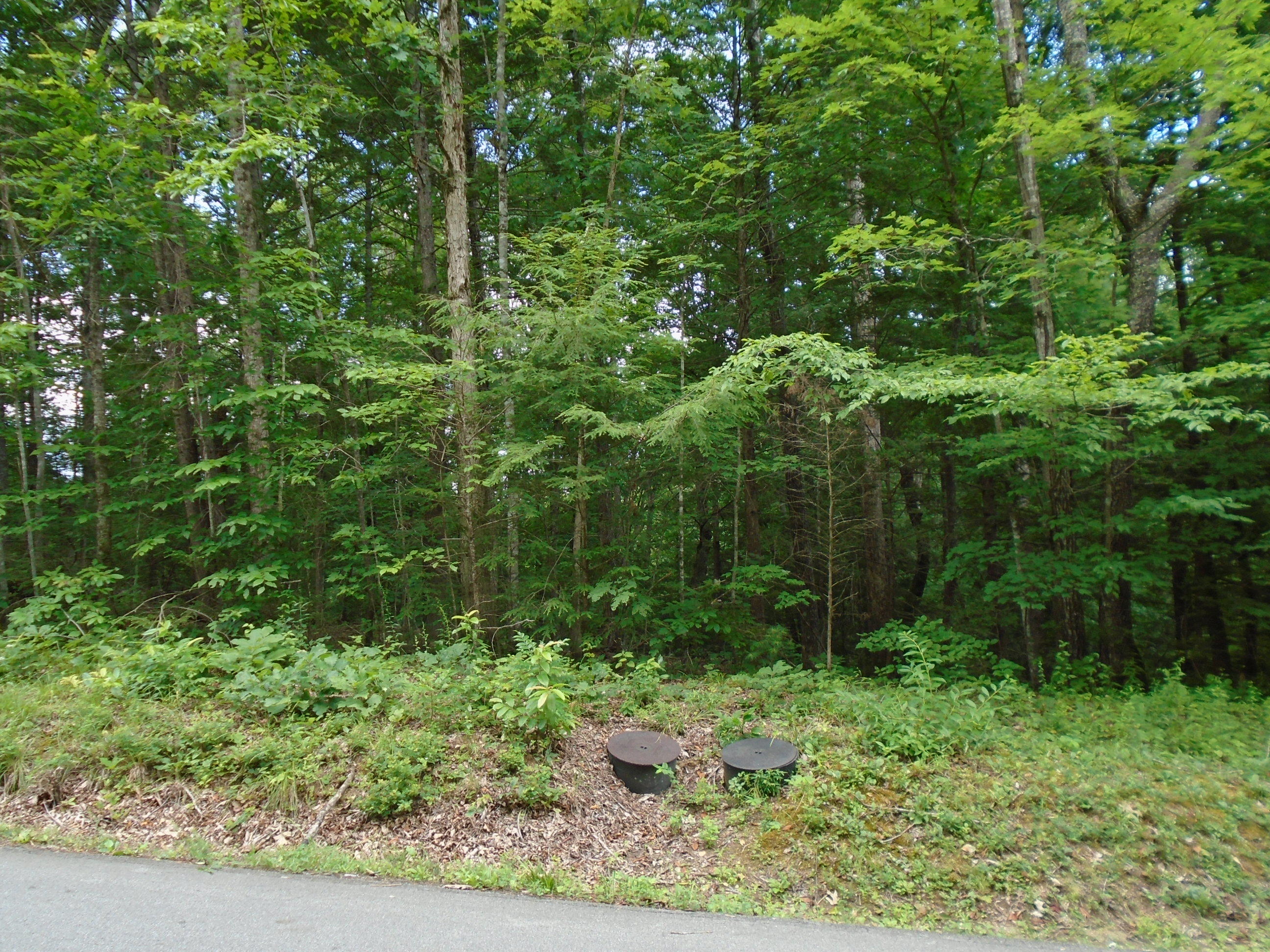 370 Laurel Road Townsend, TN 37882 - Photo 2 of 4 DSC02158