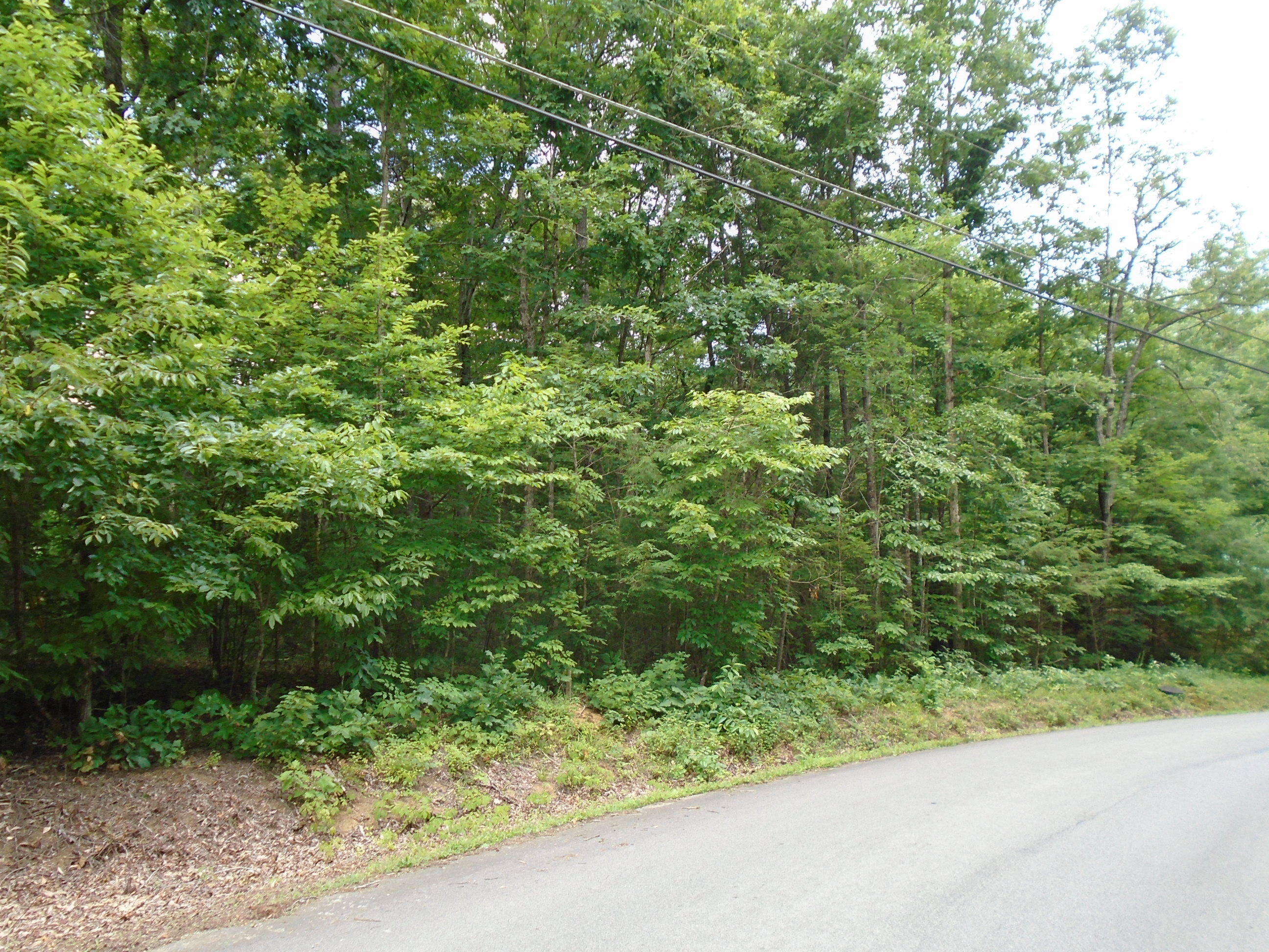 370 Laurel Road Townsend, TN 37882 - Photo 3 of 4 DSC02159