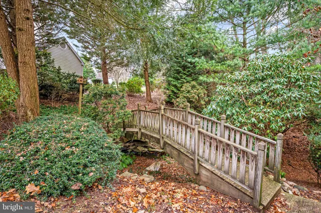 a view of a yard with large trees