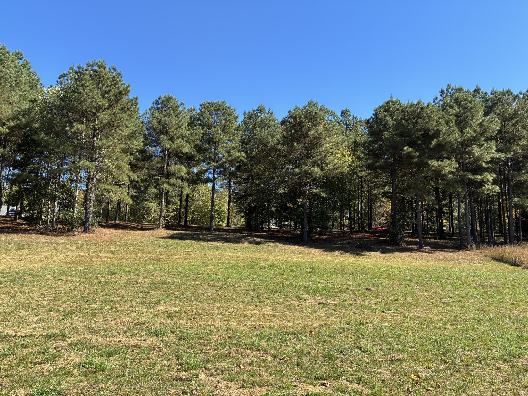 241 Pappy Road Jasper, TN 37347 - Photo 11 of 40 a swimming pool with trees in the background